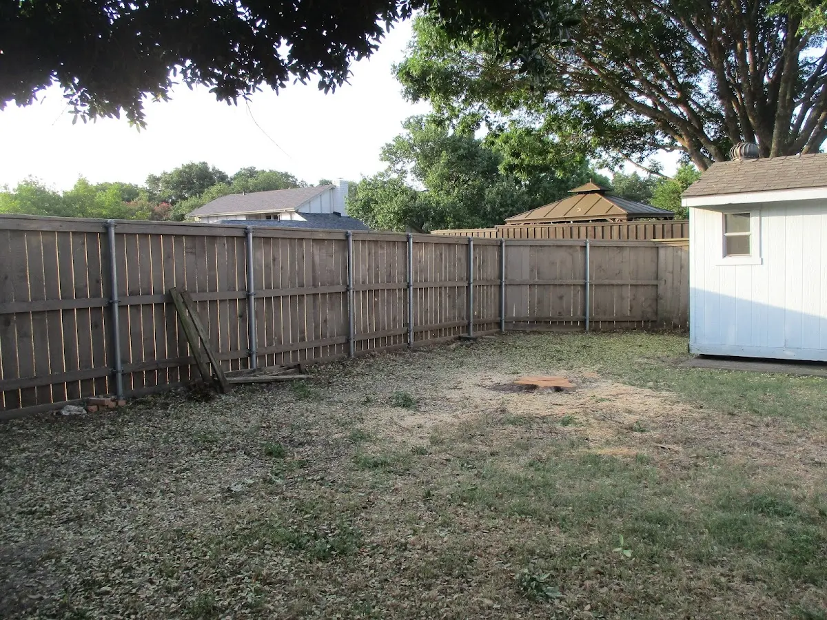 Cleared yard after professional tree removal in Mc Farland